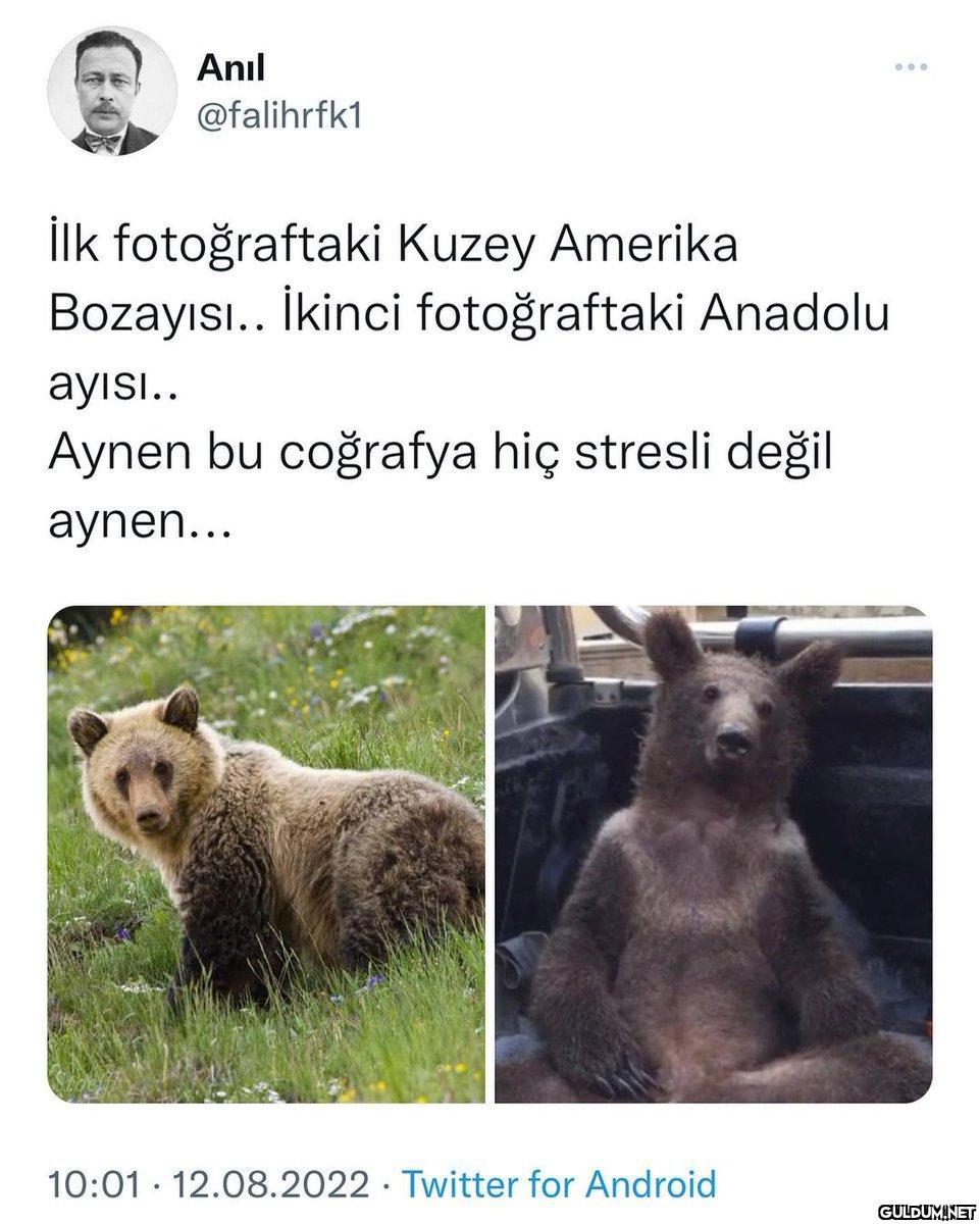 Anıl @falihrfk1 İlk...