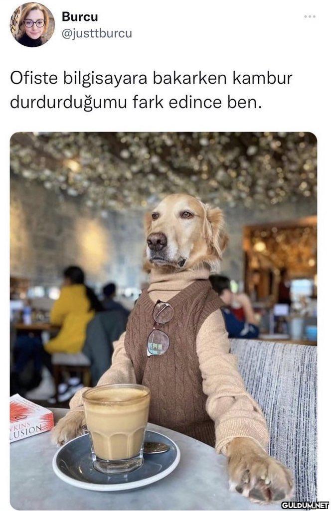 Burcu @justtburcu Ofiste...
