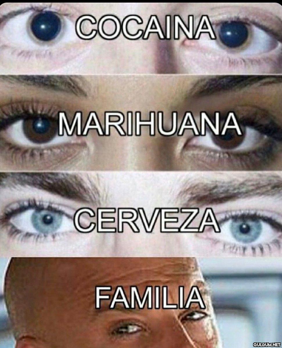 COCAINA MARIHUANA CERVEZA...