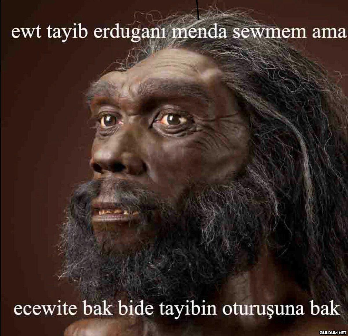 ewt tayib erdugani menda...