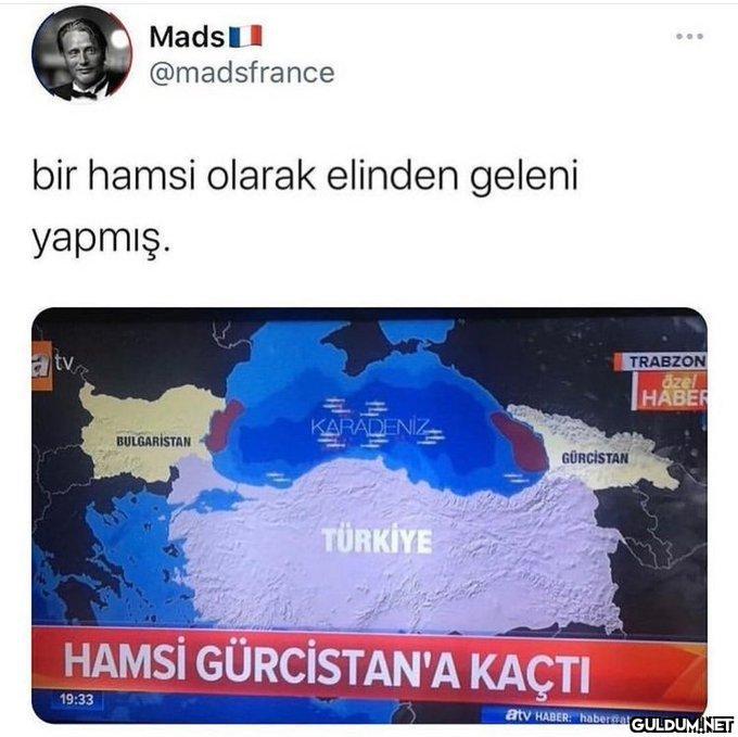 bir hamsi olarak elinden...