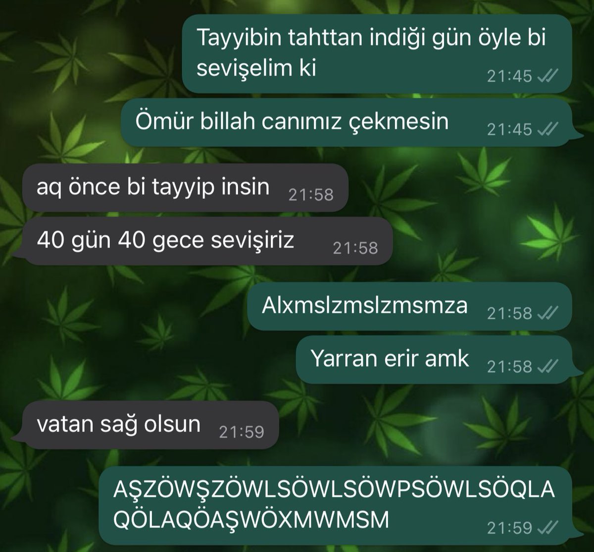 Tayyibin tahttan indiği...