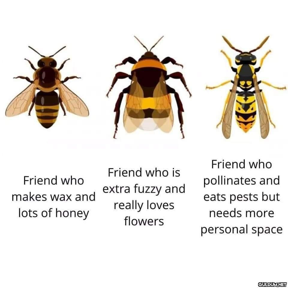 Popular post