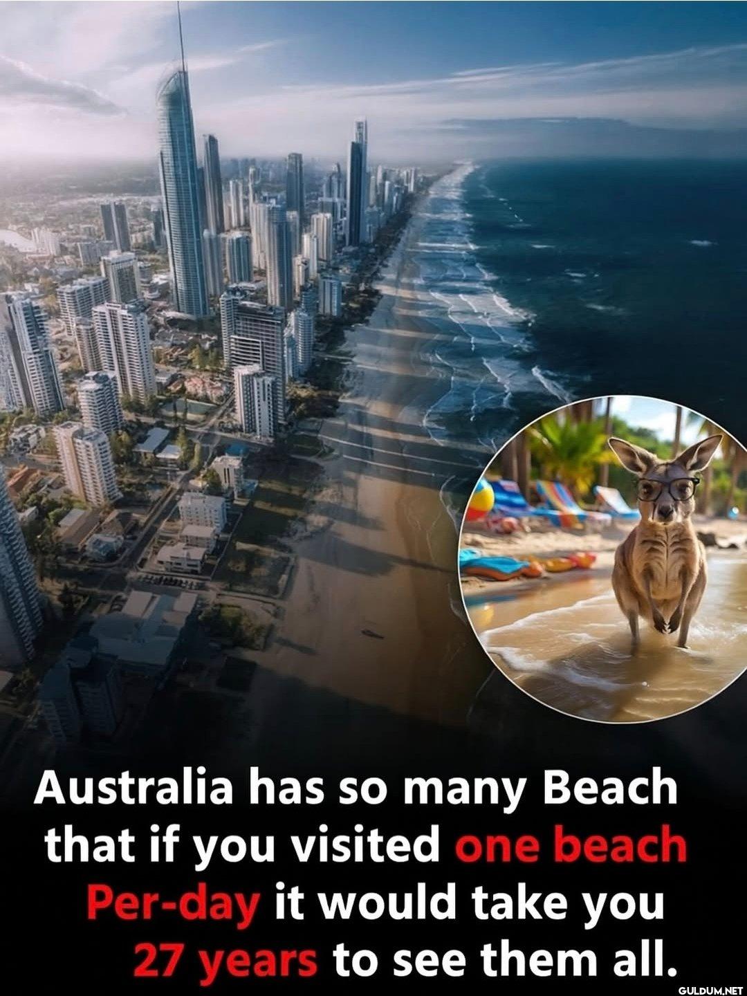 Damn.    Australia has so...