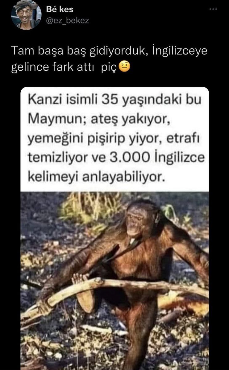 https://t.co/azxu01hjye  ...