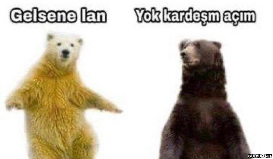 Gelsene lan Yok kardeşm...