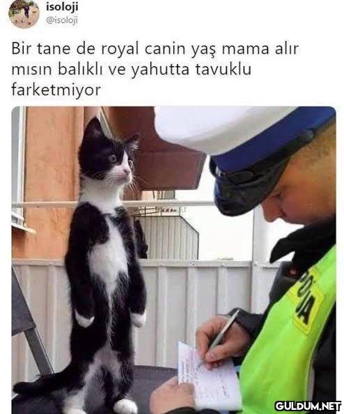 isoloji @isoloji Bir tane...