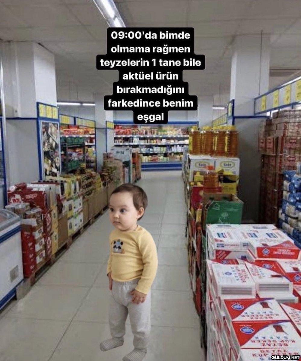 BOL - REGO 09:00'da bimde...