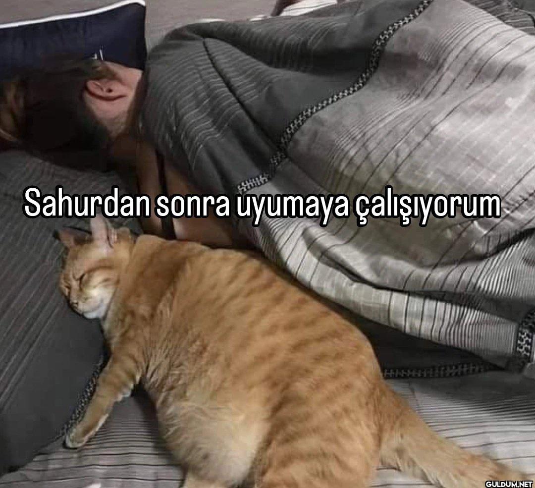 Sahurdan sonra uyumaya çalışıyorum