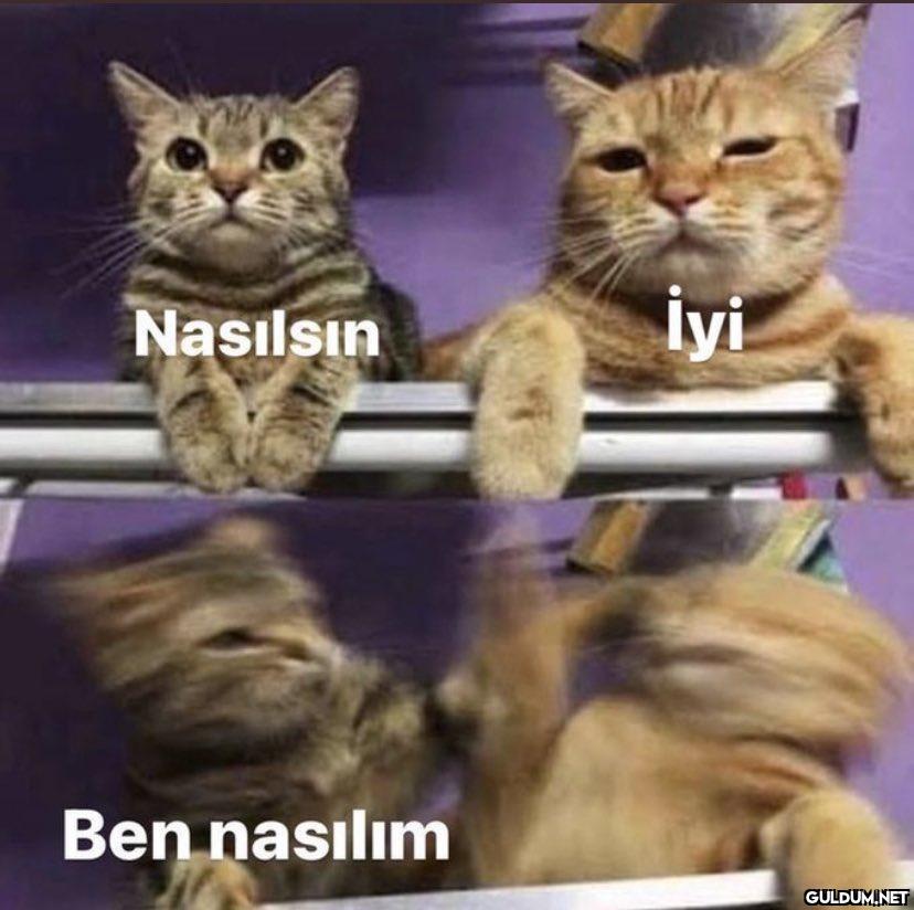 Nasılsın Ben nasılım İyi   Kaynak