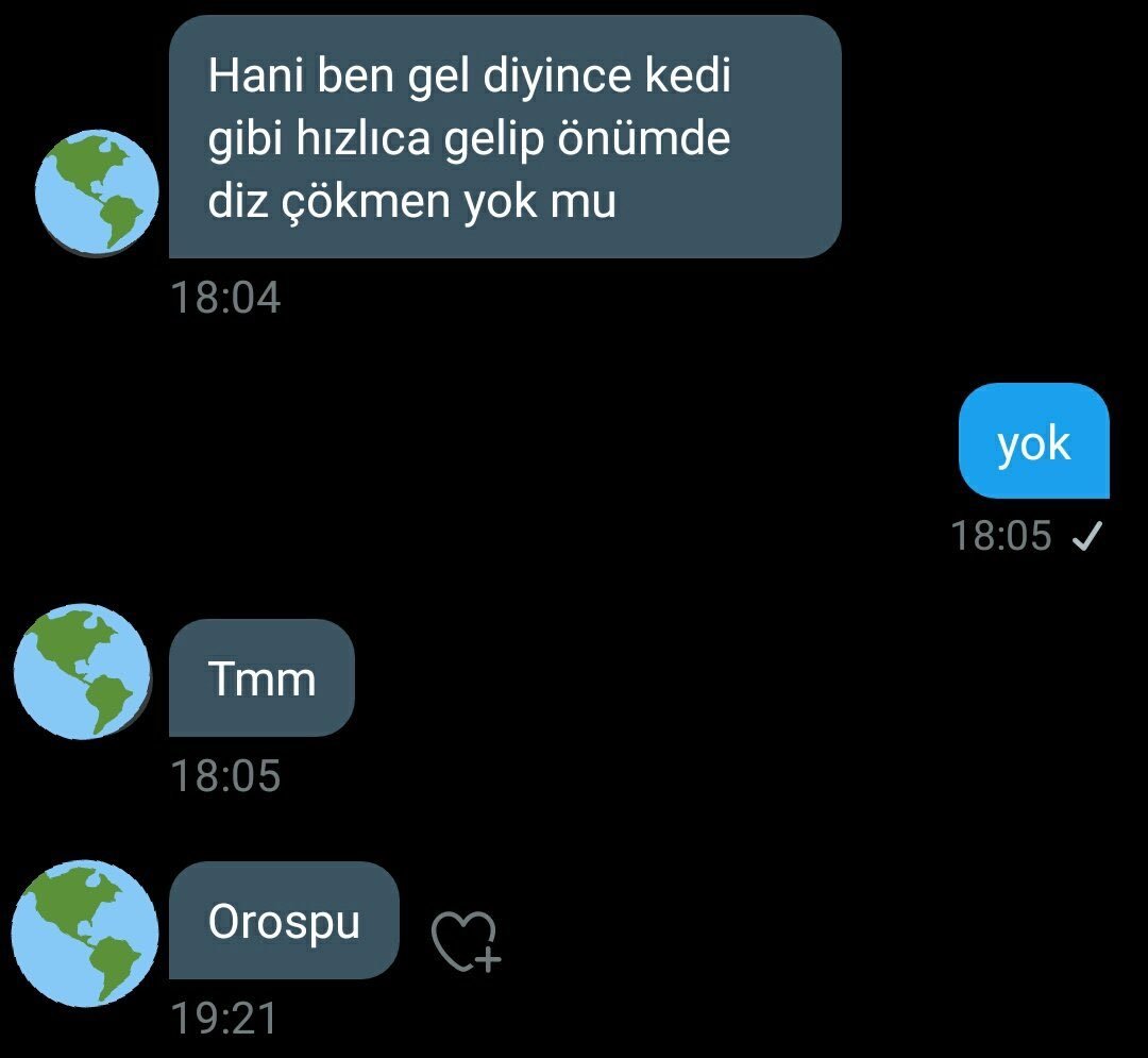 Hani ben gel diyince kedi...
