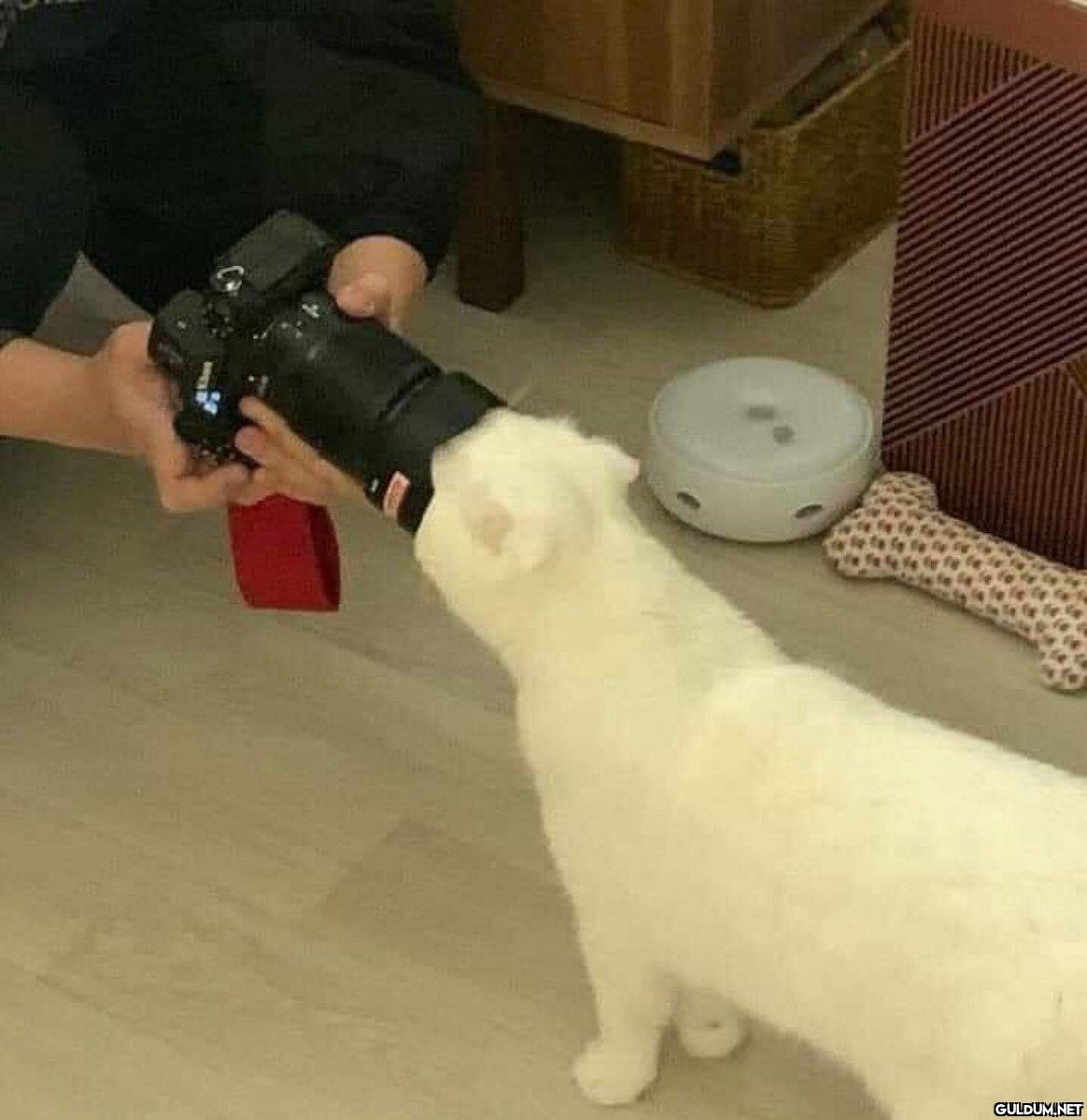 Hadi story çekelim diye...