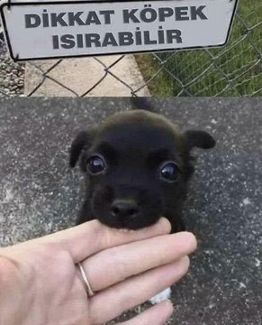 Çok tehlikeli duruyor...