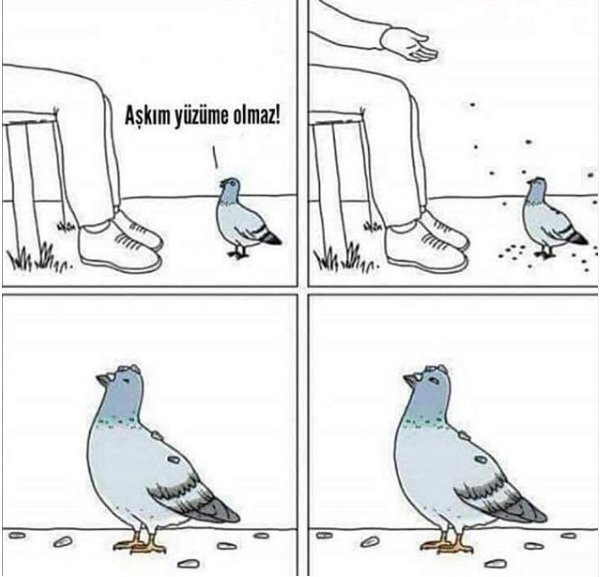 SJSKSJJDD...
