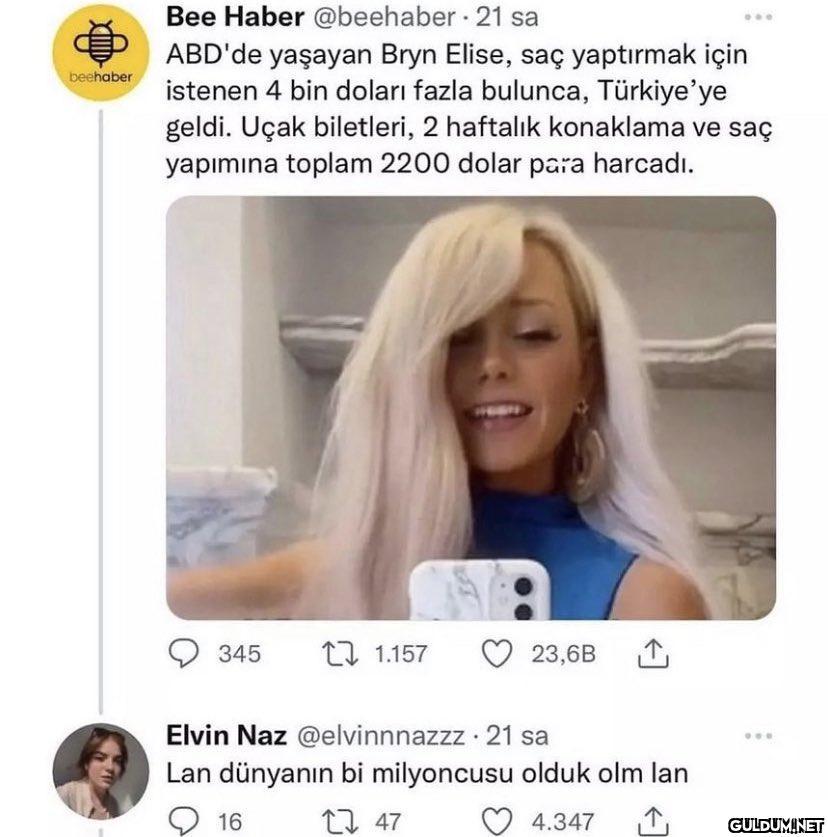 beehaber Bee Haber...