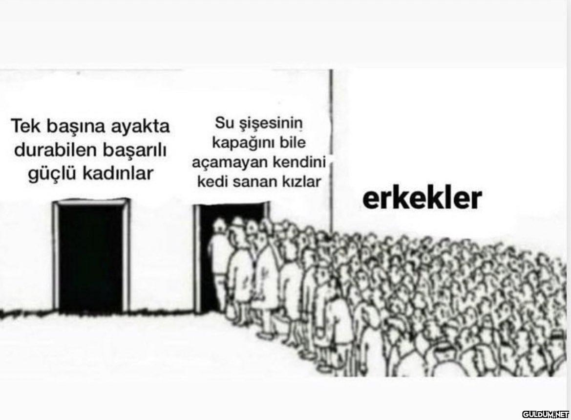 Tek başına ayakta...