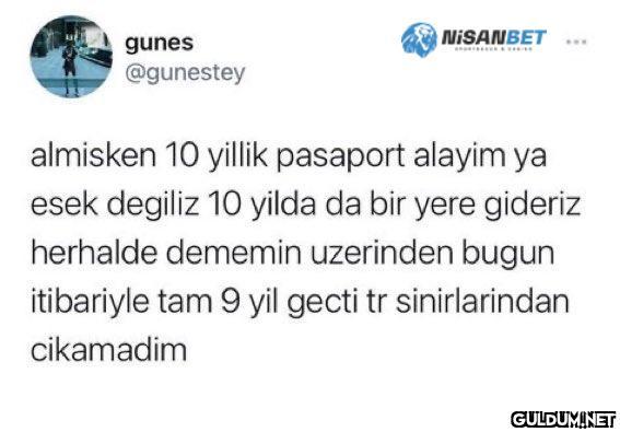 https://t.co/MAunyWiSgh  ...