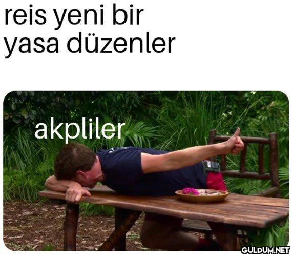 reis yeni bir yasa...