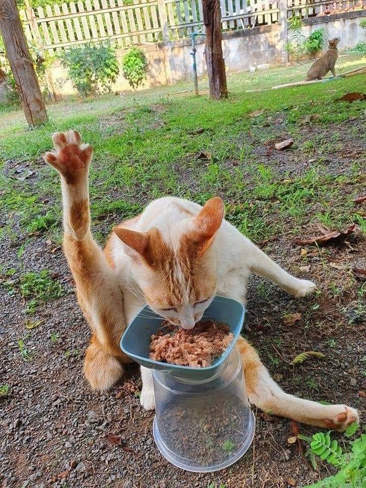 Bu nası bi yemek yeme...