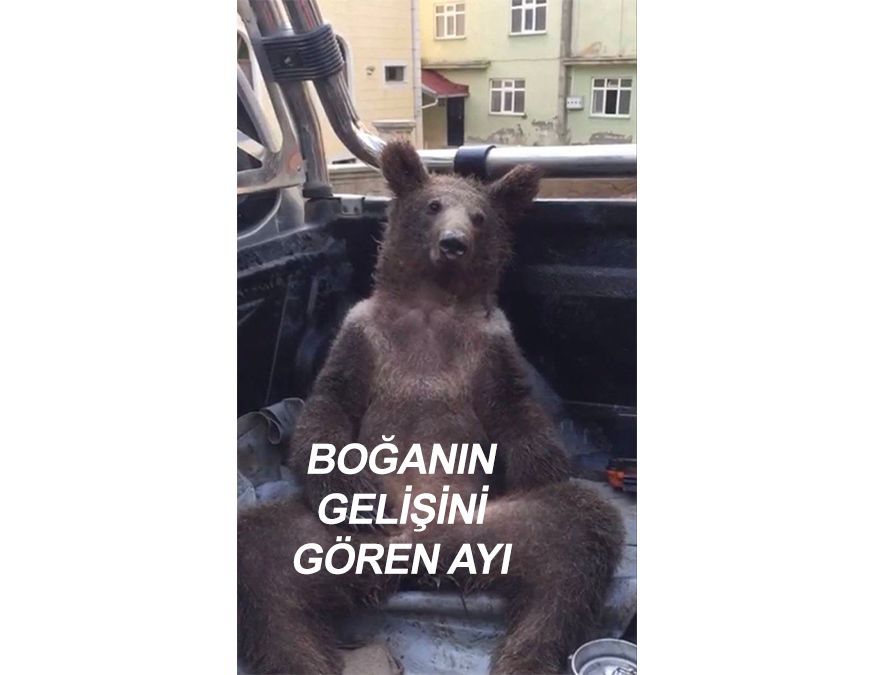 @Gate_Turkiye...