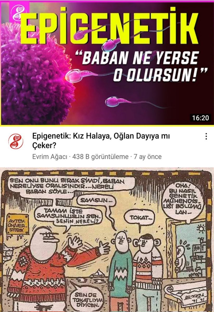 Aytek Üniversitesi Genetik...
