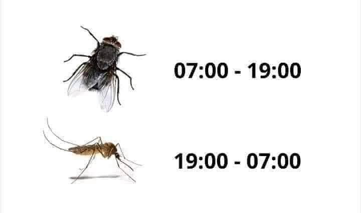 Vardiyalı çalışma...