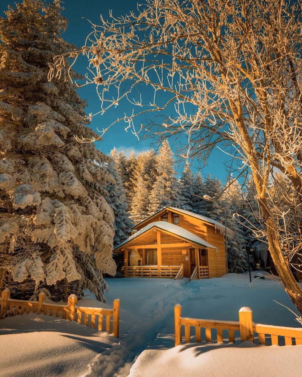 ❄️Uludağ, Orman Evleri.....