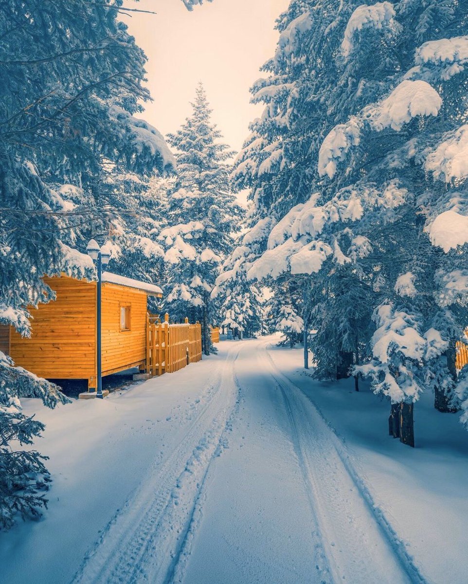 ❄️Uludağ, Orman Evleri.....
