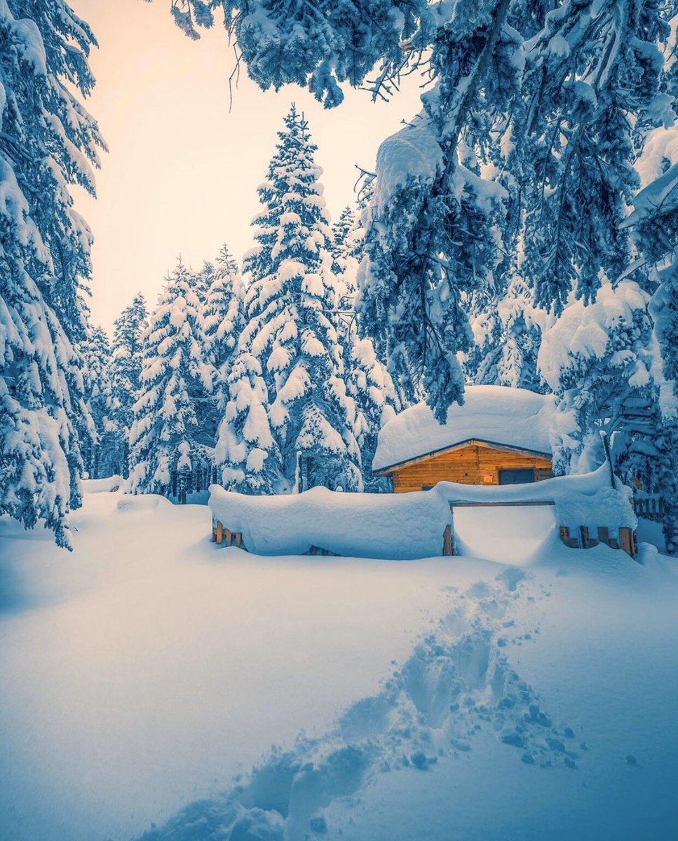 ❄️Uludağ, Orman Evleri.....