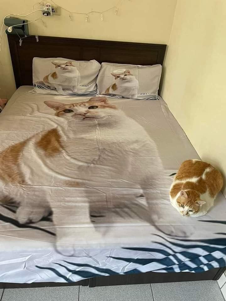 Sevgi göstermeyi abartma...