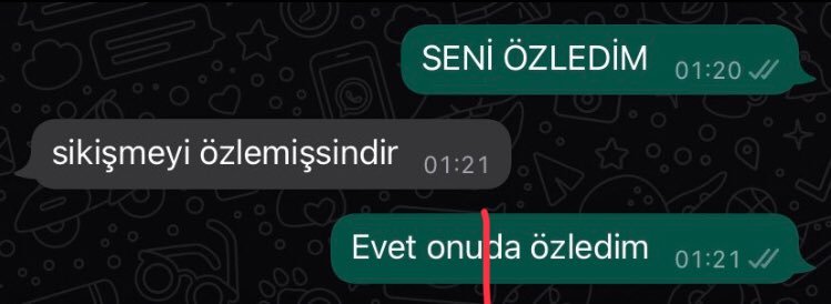 O sikişmeyi özlemişsindir...