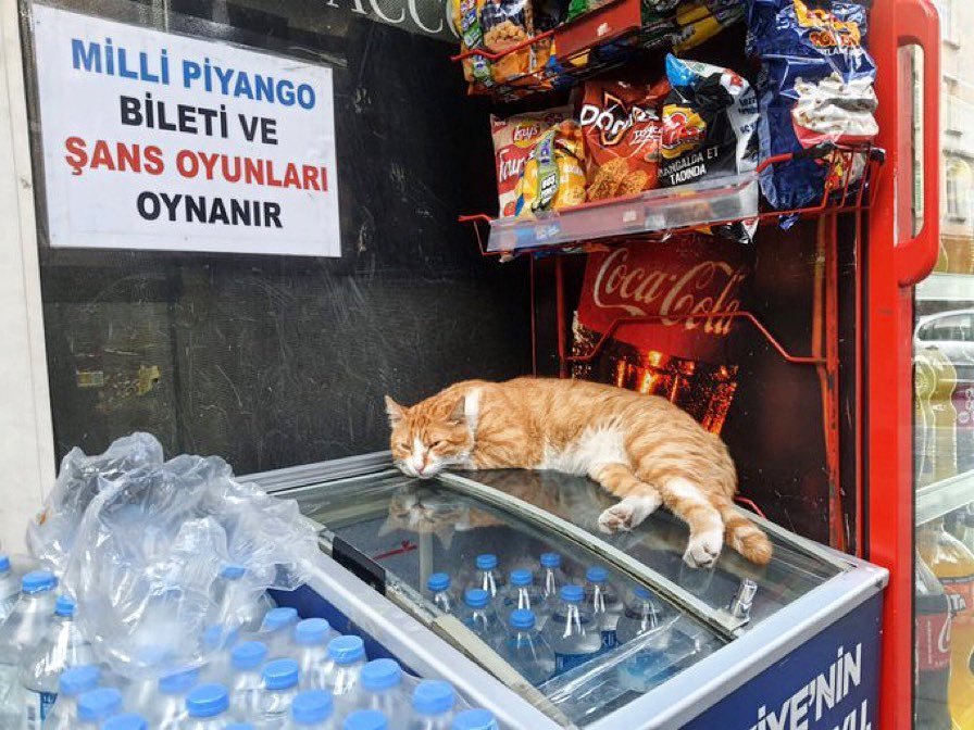 Sıcak ve nem yüzünden...