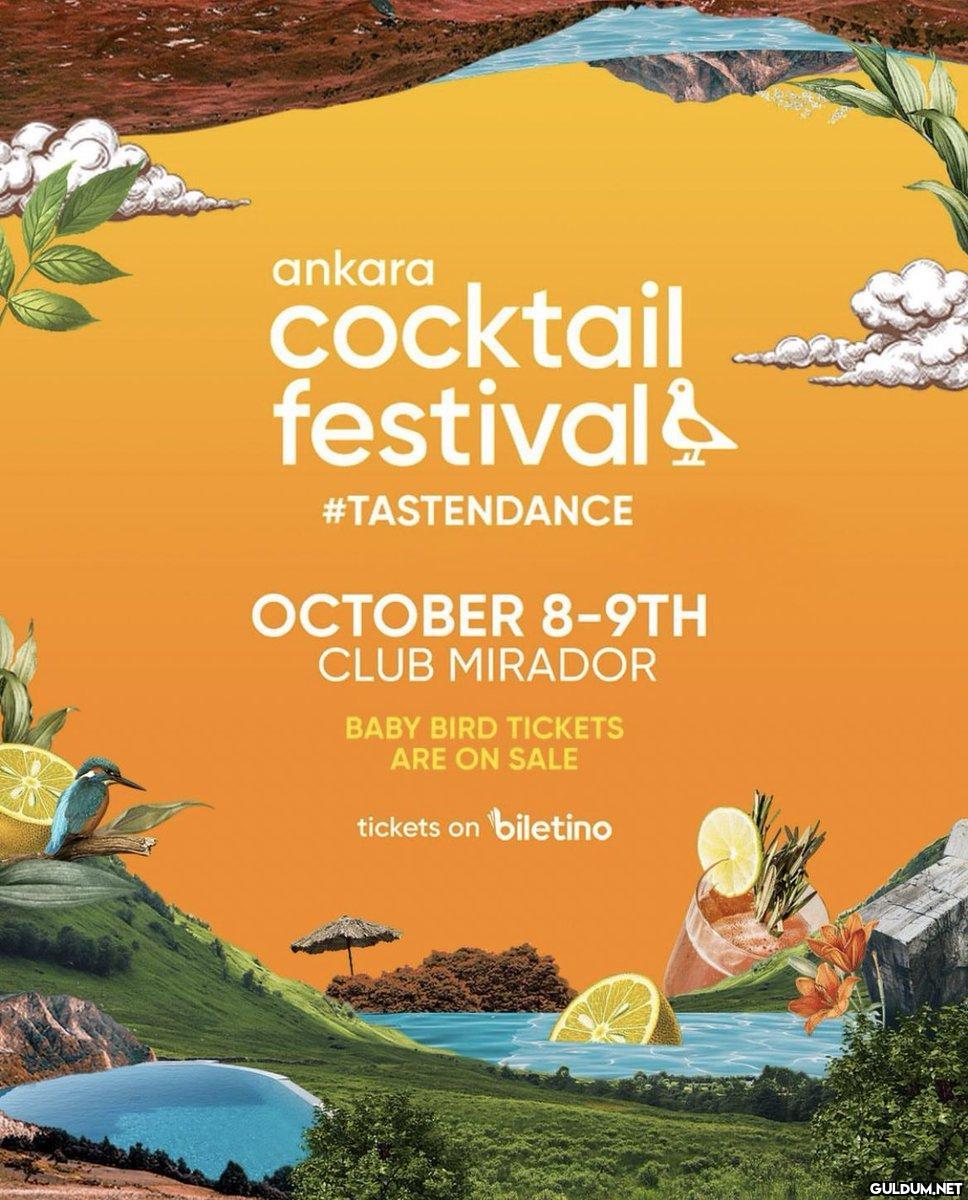 Ankara Cocktail Festival...
