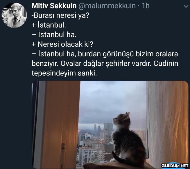 Mitiv Sekkuin...