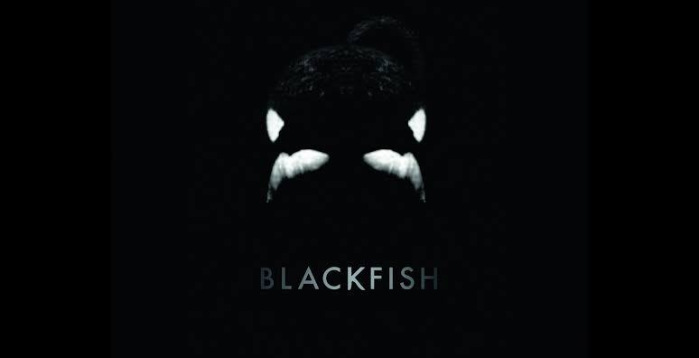 Blackfish  Florida'daki...