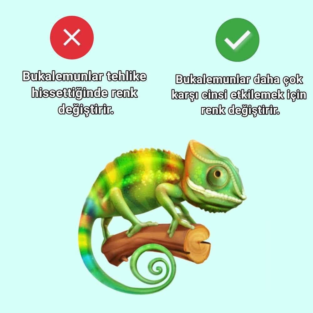 https://t.co/Xmk2gdQxqt  Kaynak