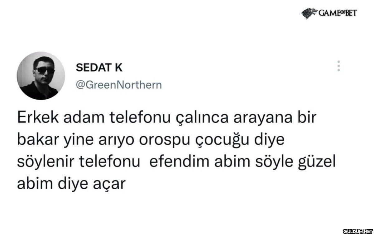SEDAT K @GreenNorthern...