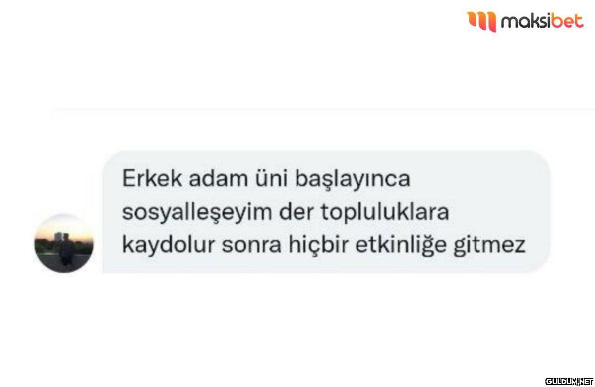 maksibet Erkek adam üni...