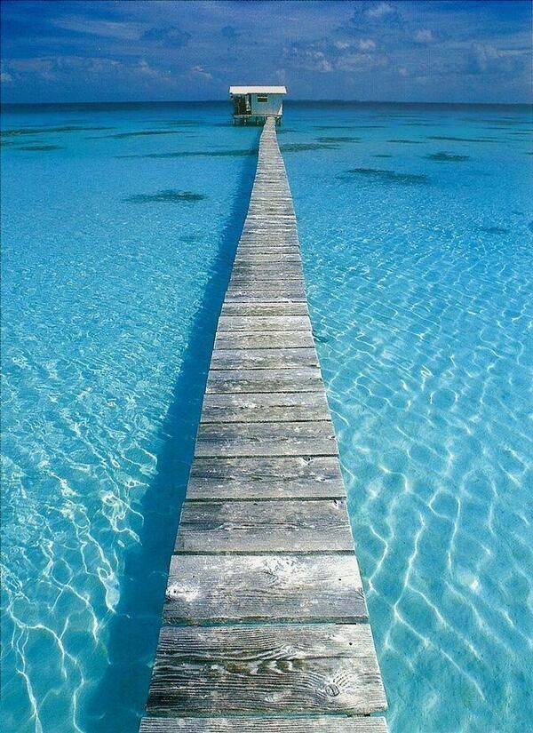 Harika bir mavi. Tahiti...