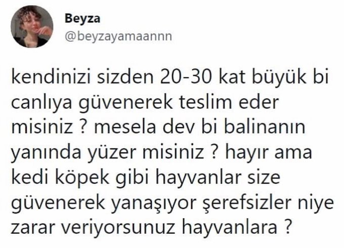 https://t.co/x0oZzrPVfB  ...