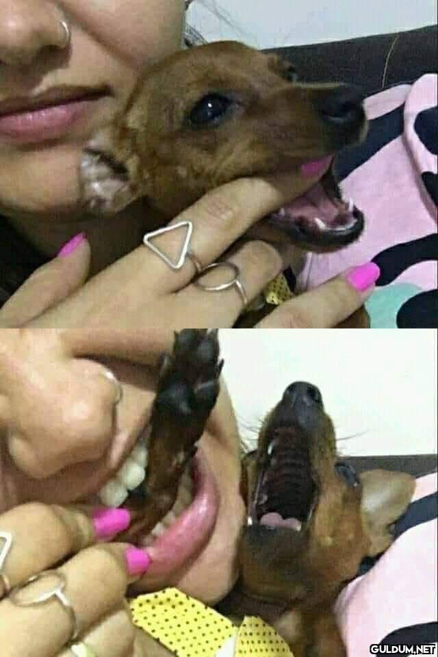 Kaynak