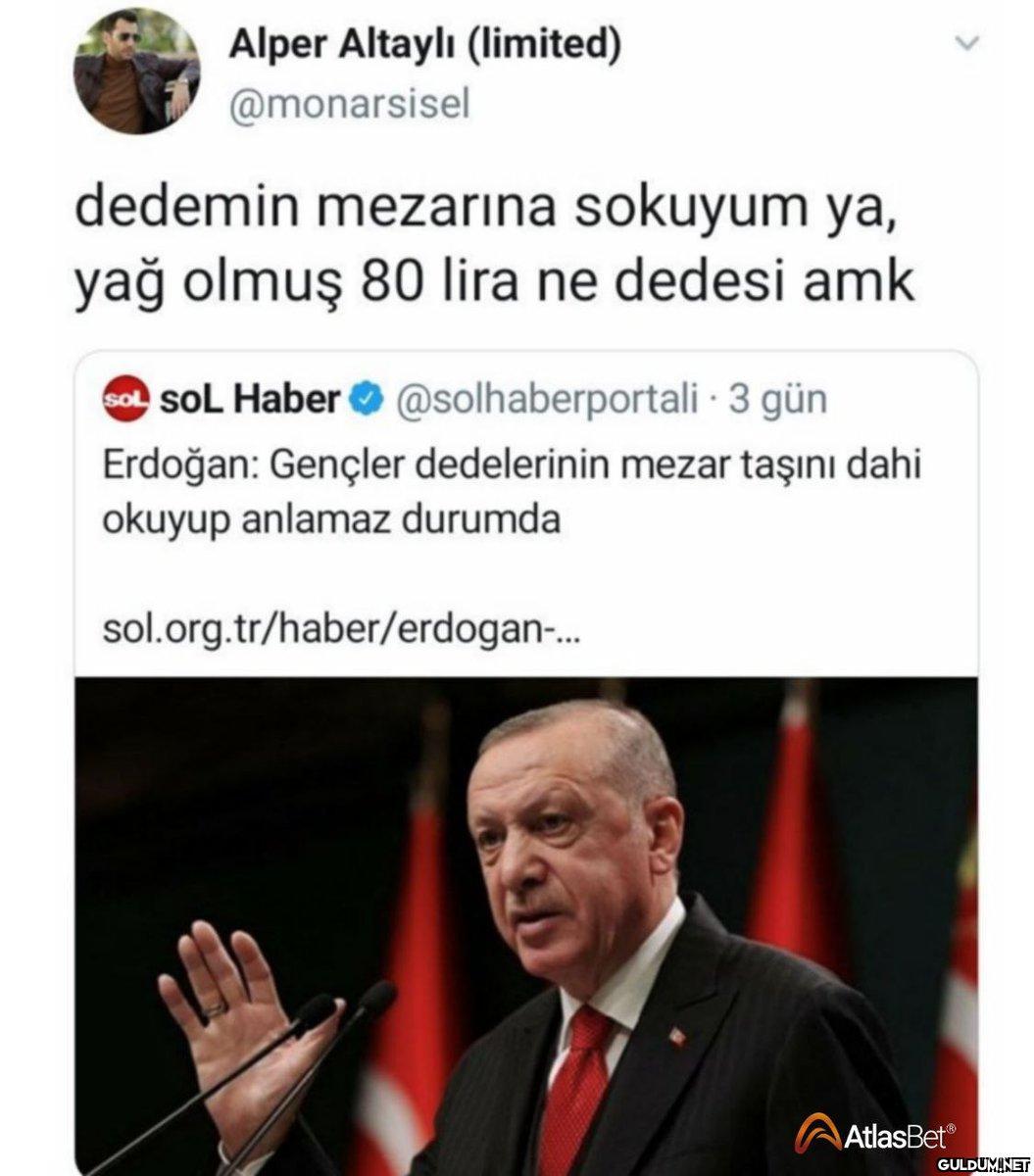 Alper Altaylı (limited)...