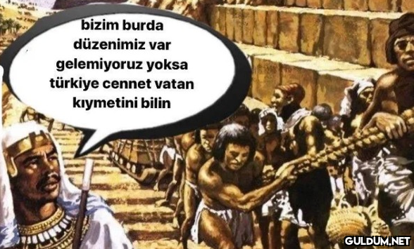 bizim burda düzenimiz var...