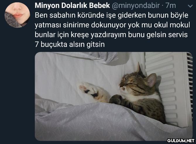 Minyon Dolarlık Bebek...