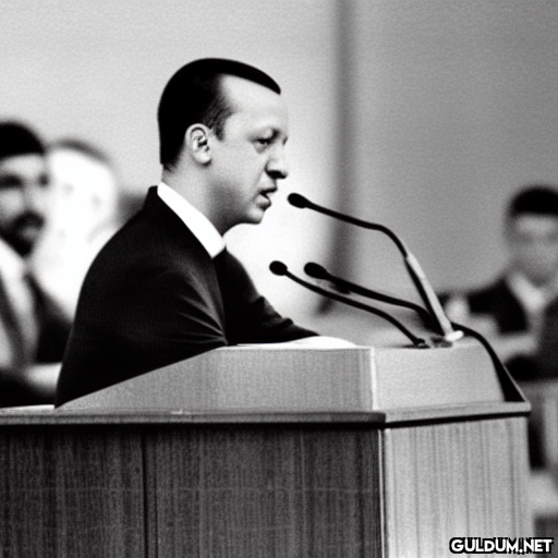 recep tayyip erdoğan....