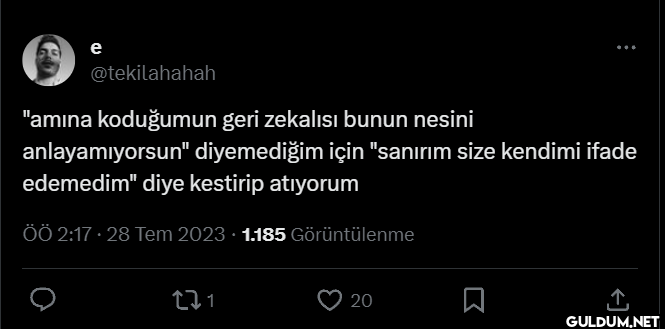 "amına koduğumun geri...