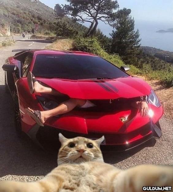 Kaynak