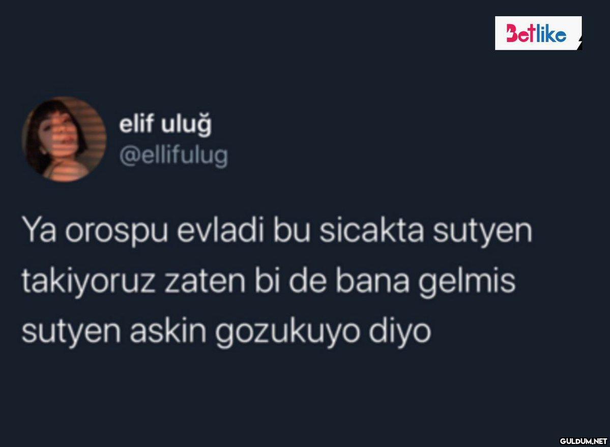 elif uluğ @ellifulug...