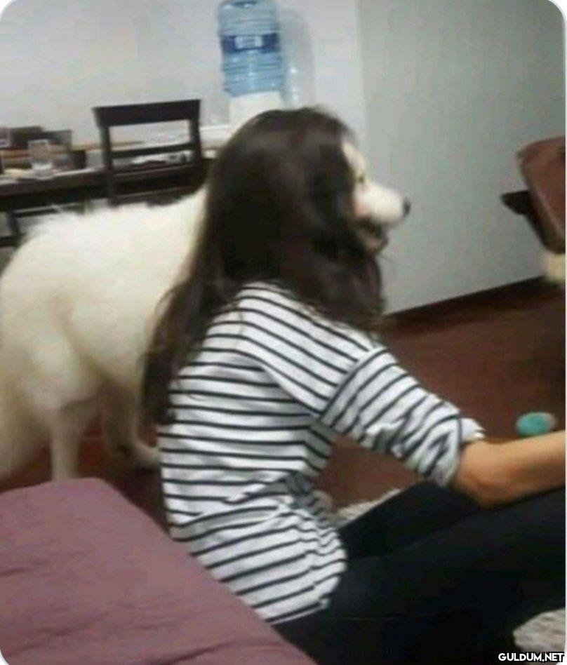 idin   Kaynak
