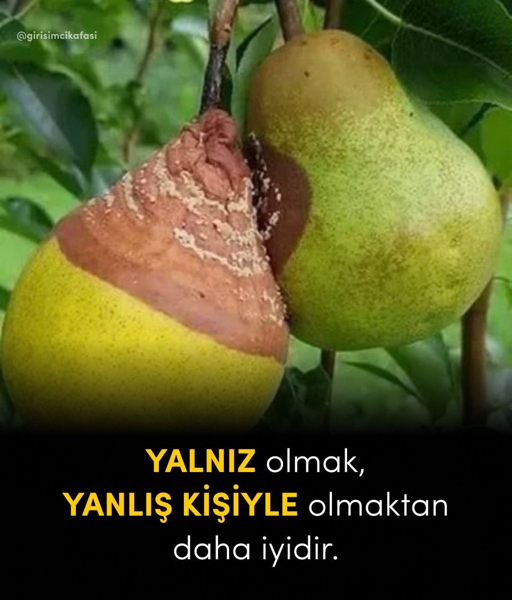 Çevrenizi sizi seviye...